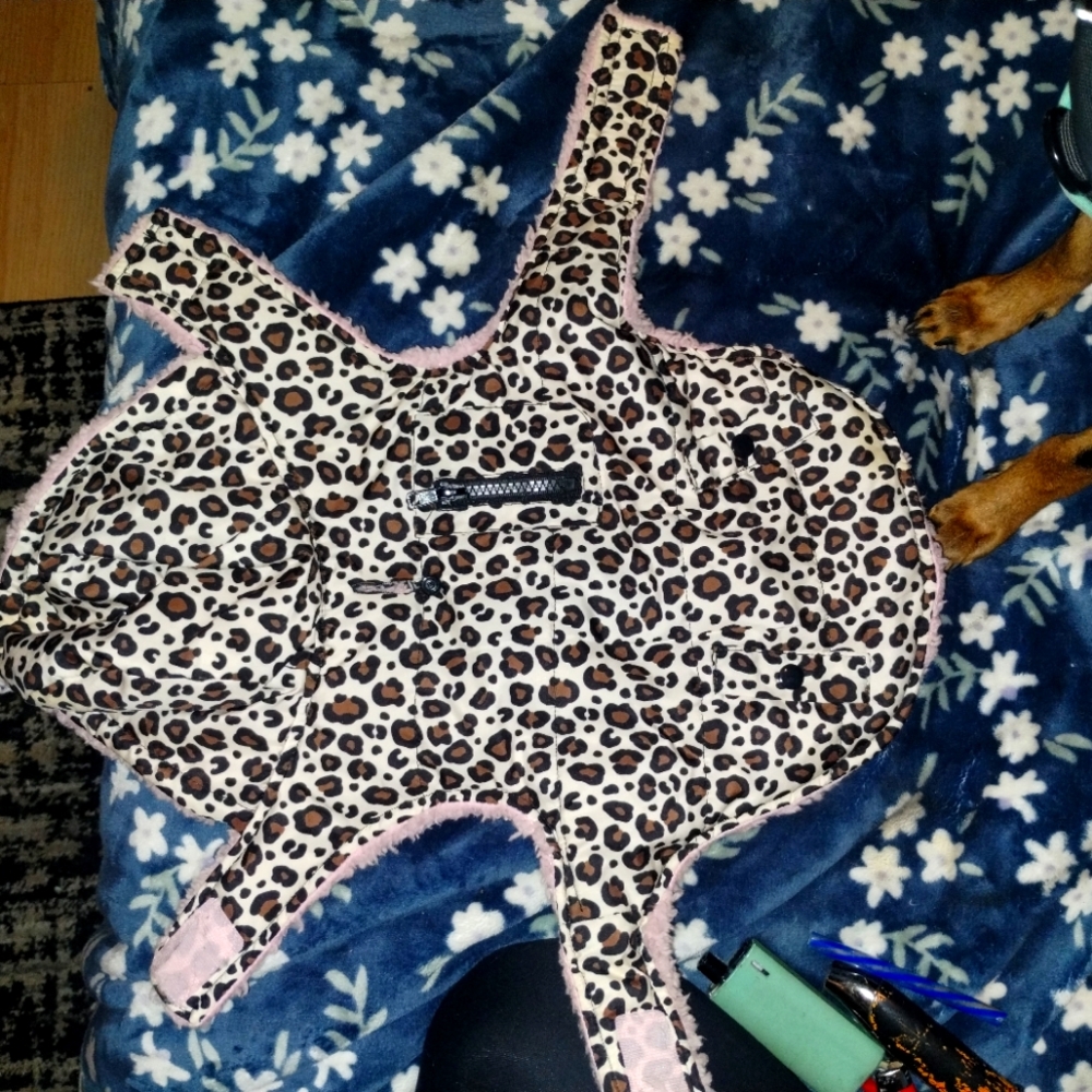 Really Cute Dog Coat Size Small Only Worn Once